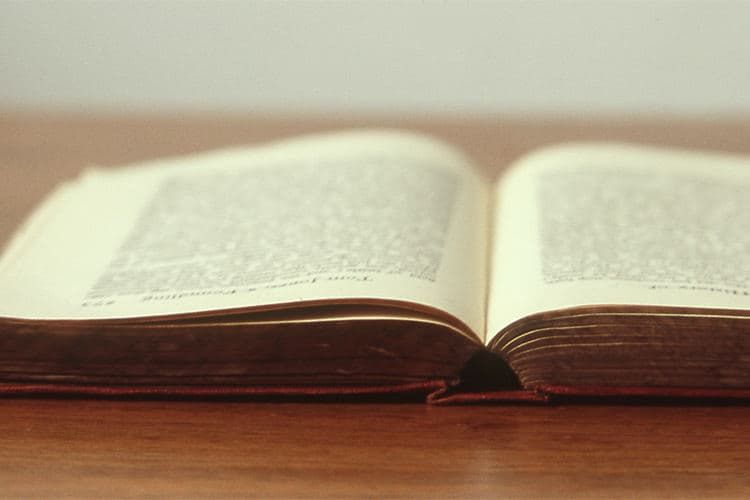 L'Inizio di una Meravigliosa Storia