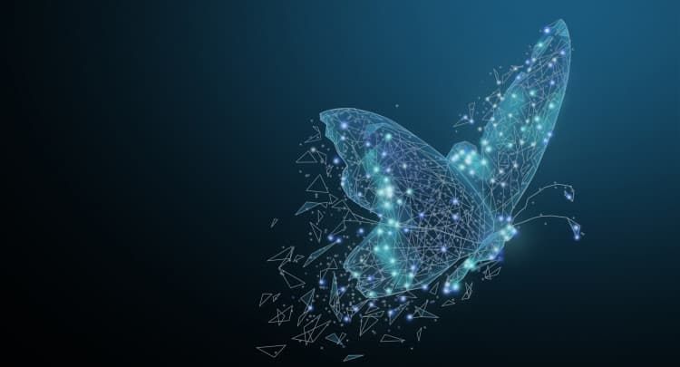 effetto farfalla - butterfly effect