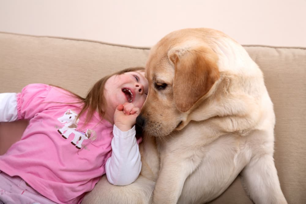 La Pet Therapy