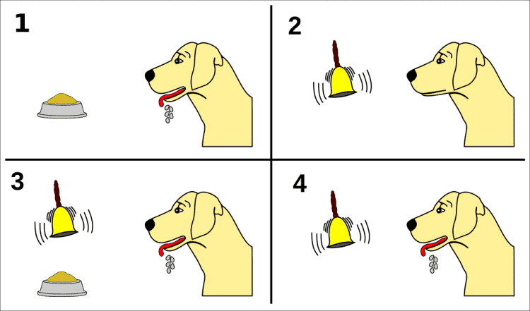 Pavlov: comportamentismo e condizionamento classico oggi