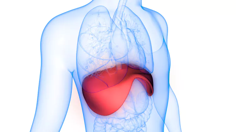 Cos’è la respirazione diaframmatica e perché funziona?