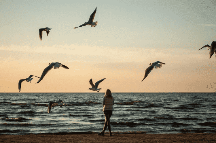 solitudine