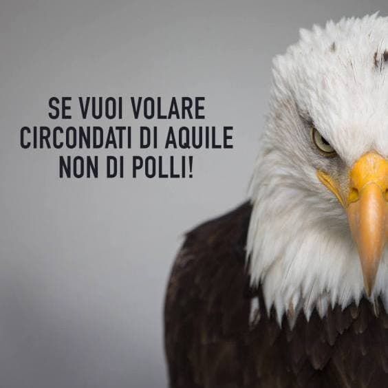 articoli di psicologia di Lucia Guidoni