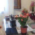 articoli di psicologia di Rossella Bianco
