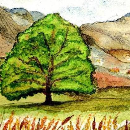 Dott.ssa Elisa Corberi Psicologa Psicoterapeuta