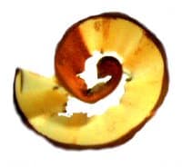 Dott.ssa Marzia Menzani Psicologa Psicoterapeuta