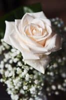 Dott.ssa Silvia Bianchi Psicologa Psicoterapeuta