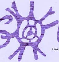 Associazione Solis 